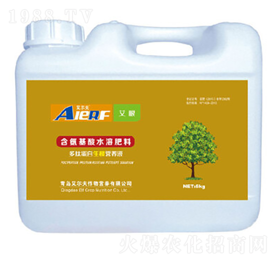 ���ĵ��������I�B(y��ng)Һ-����-������