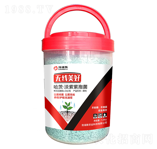 哈茨·淡紫紫孢菌-無(wú)線美好-凱瑞斯