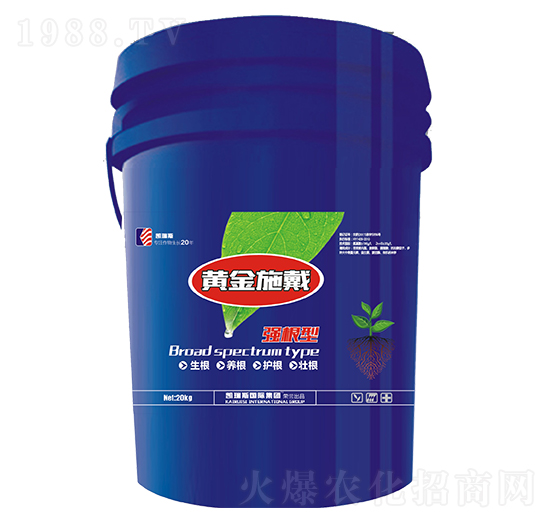 黃金施戴（強根型）-凱瑞斯