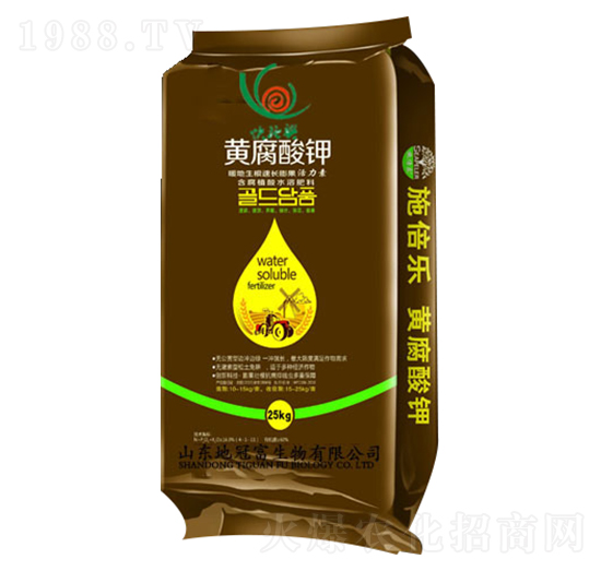 �S�����-�عڸ�