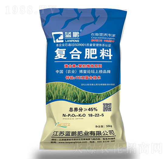 �ͺϷ���18-22-5-�{�i�ʘI(y��)