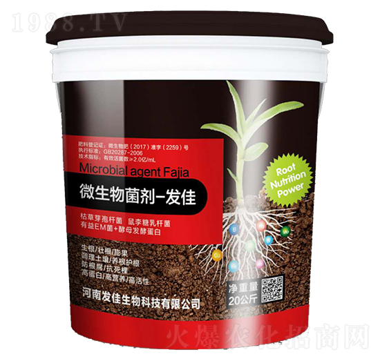 �����΢�������-�l(f��)��