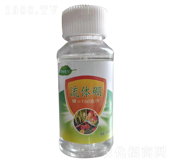 ���w��-��������-��ɭ��