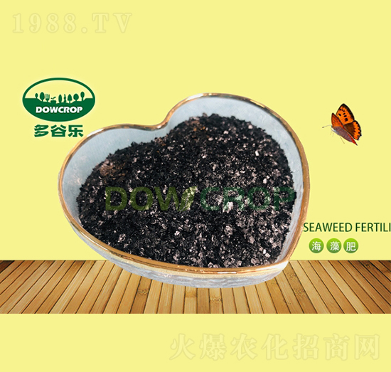 片狀海藻提取物-多谷樂(lè)