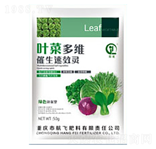 �~�˶�S�����`-���л���