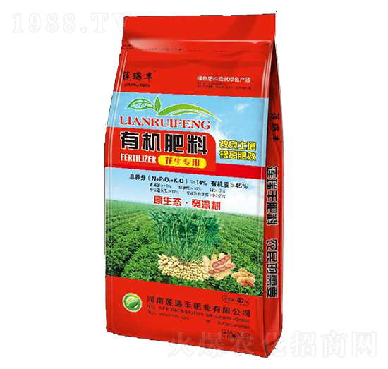 ���������ЙC(j��)����-ɏ���S