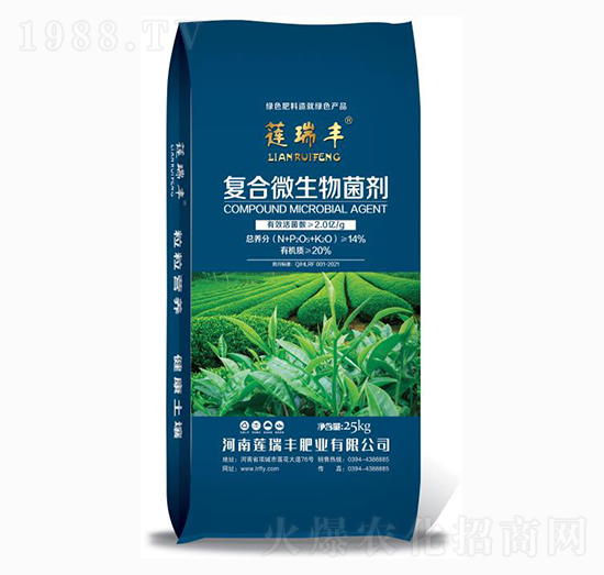 �ͺ�΢�������-ɏ���S