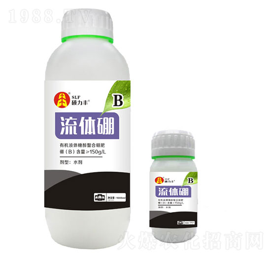 ���w���-�T���S����