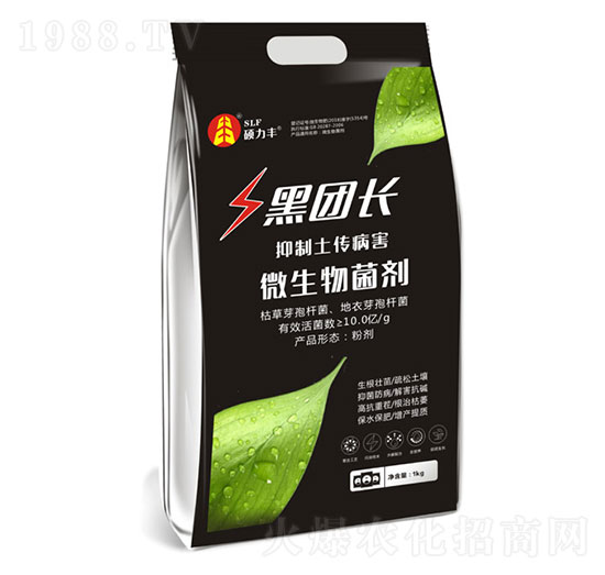 ΢�������-�ڈF�L-�T���S����