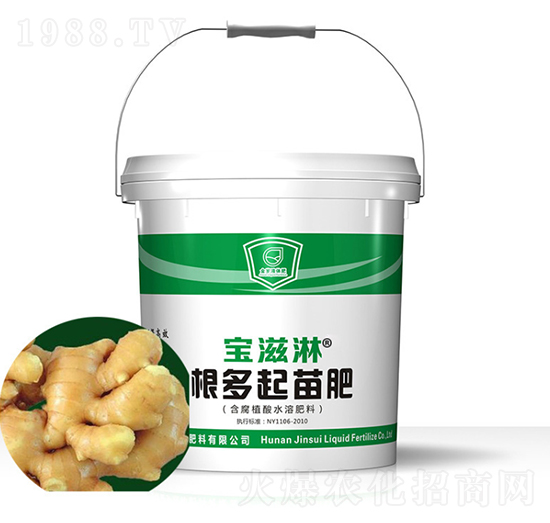大姜專用根多起苗肥-寶滋淋-金歲液體肥