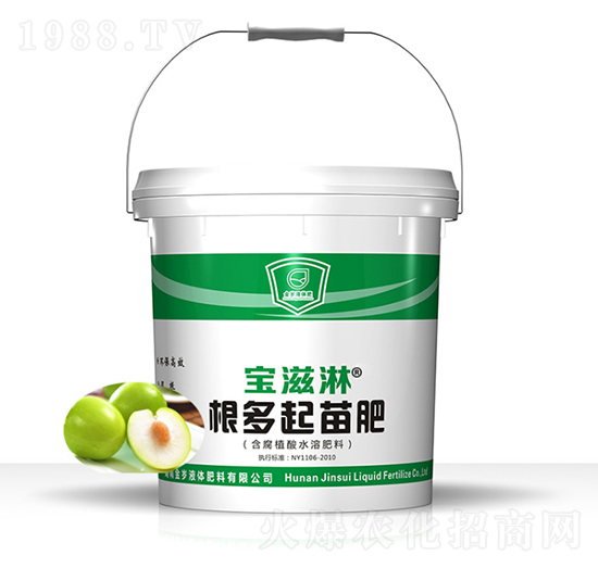 青棗專用根多起苗肥-寶滋淋-金歲液體肥