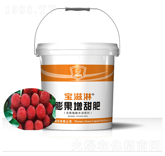 楊梅專用膨果增甜肥-寶滋淋-金歲液體肥