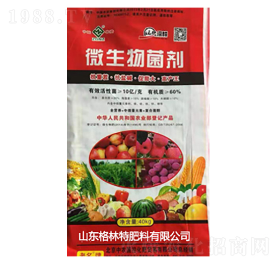 10�|΢�������-������