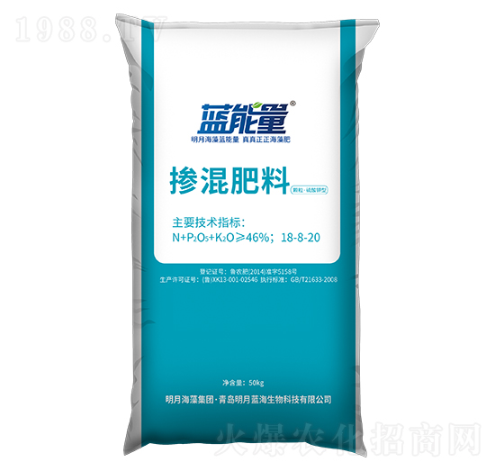 �w����������͓������18-8-20-�{����