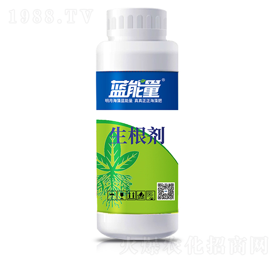 ƿ�b������-�{(l��n)����