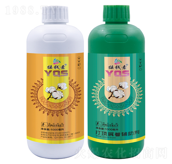 棉花打頂劑-搖錢(qián)素作物