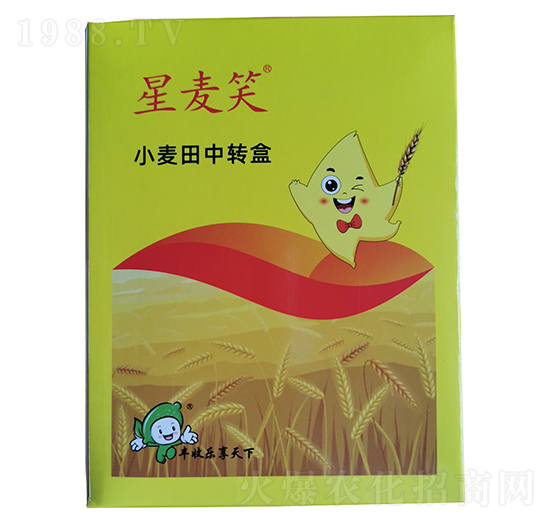 小麥田中轉(zhuǎn)盒-星麥笑-豐收樂(lè)