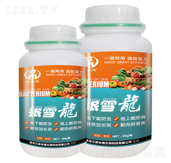 微生物菌劑-銀雪龍-銀米灘生物