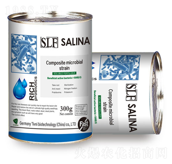 SLF艾瑞特復(fù)合微生物原菌種-銀米灘生物