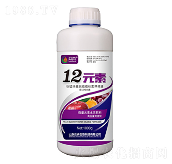 12Ԫ��-��������