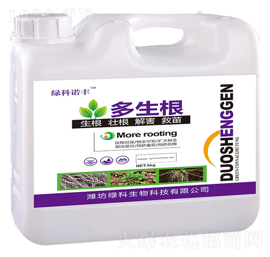 5kg������-�G���Z�S-�G������