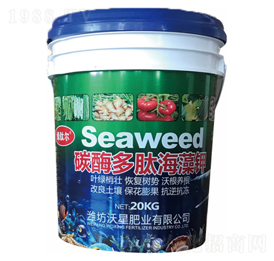 ̼ø���ĺ����-���ǷʘI(y��)