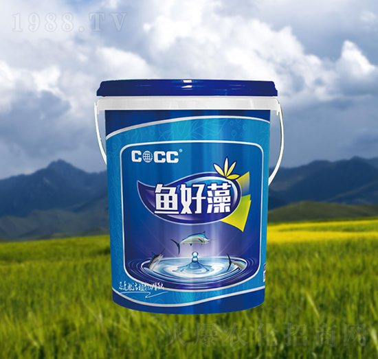 �~(y��)����-�к�����