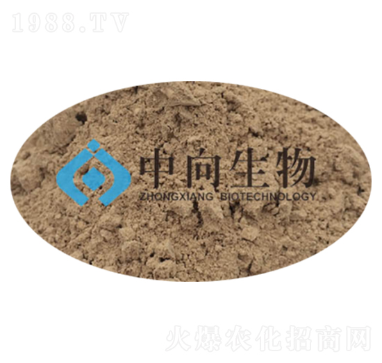 �ЙC�ʰl(f��)�̈́�-��������