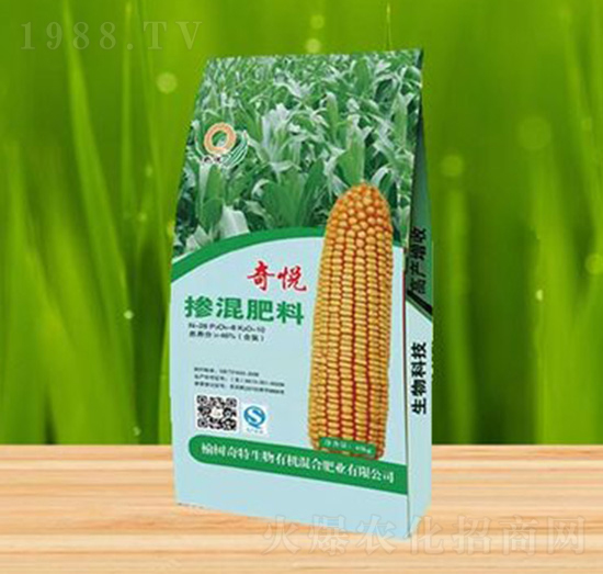 �������-�搂-��������