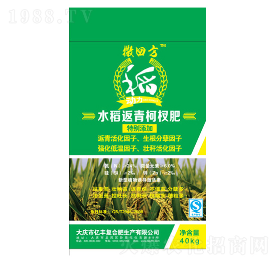 水稻返青柯杈肥-撒四方-億豐