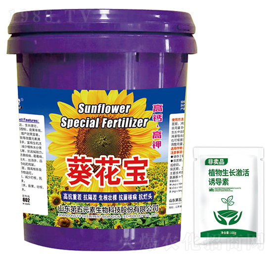 ������-��ķ��-����Ԫ��