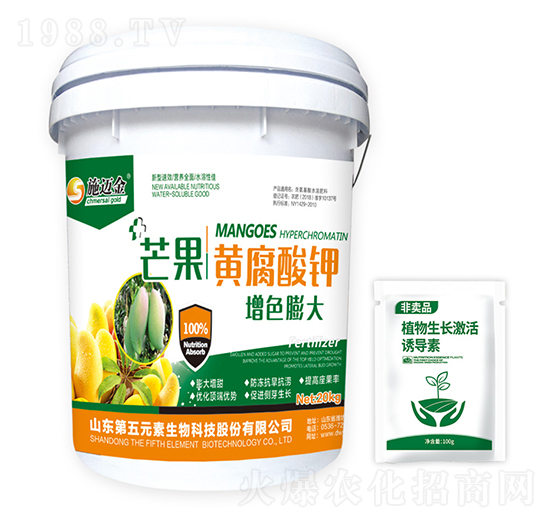 â���S�����-ʩ�~��-����Ԫ��