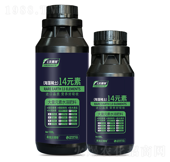 ����ϡ��14Ԫ��-Ӣ���ֲ���