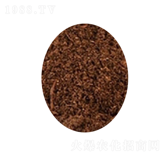 ��̿��-�s�S����