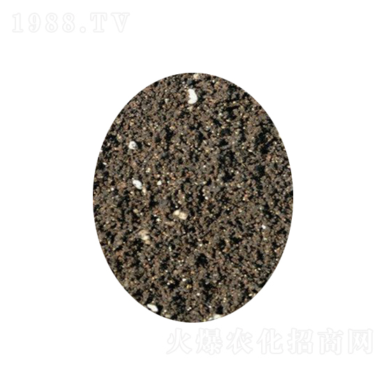 ���ߠI(y��ng)�B(y��ng)��-�s�S����