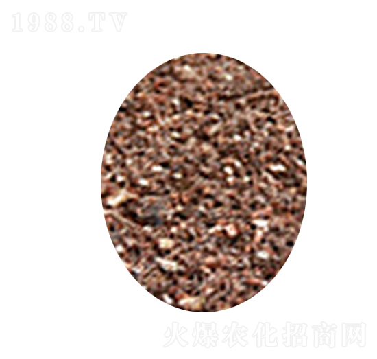 ���ܼ�ͥ�@ˇ��(zhu��n)�÷�-�s�S����