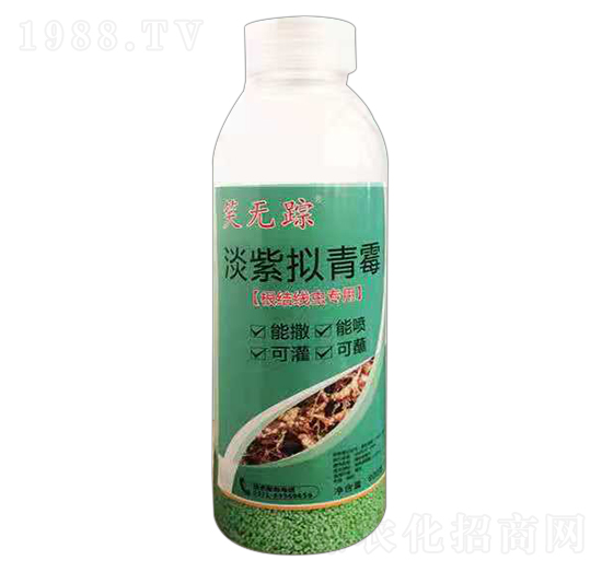 ���Y���x���������Ƅ�-Ц�oۙ-�����r��