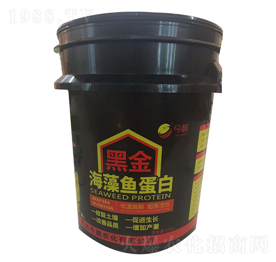 �ڽ����~����-���r��