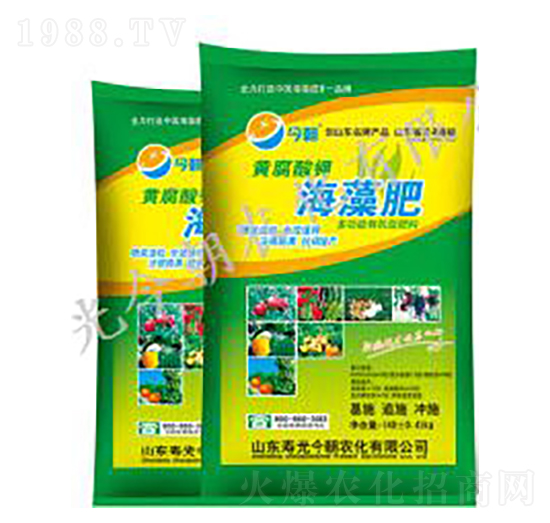 �����-���r��