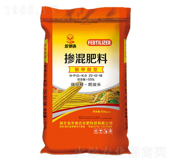 ���ȩ�͓������25-12-18-���S