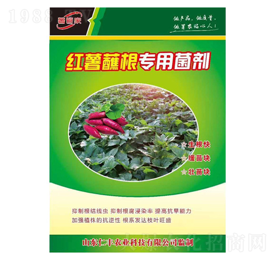 �t��պ����(zhu��n)�þ���-���S�r(n��ng)�I(y��)