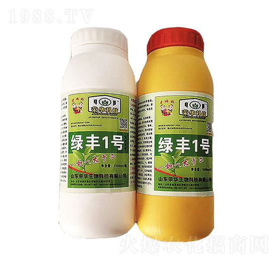 �G�S1̖-�s�A����