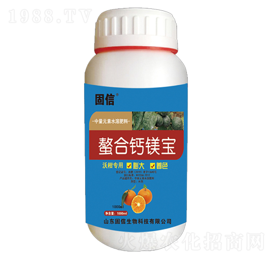 �����}�V��-��������