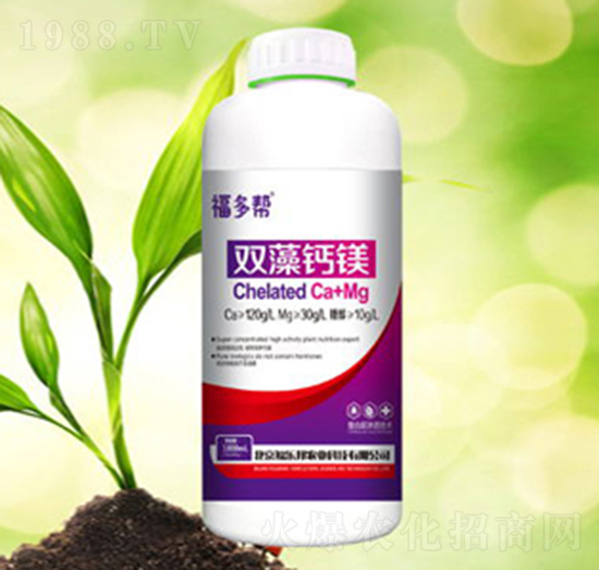 ������-�p���}�V-������