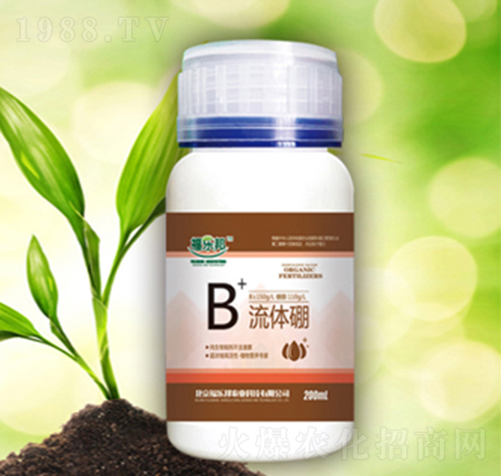 200ml���w��-������