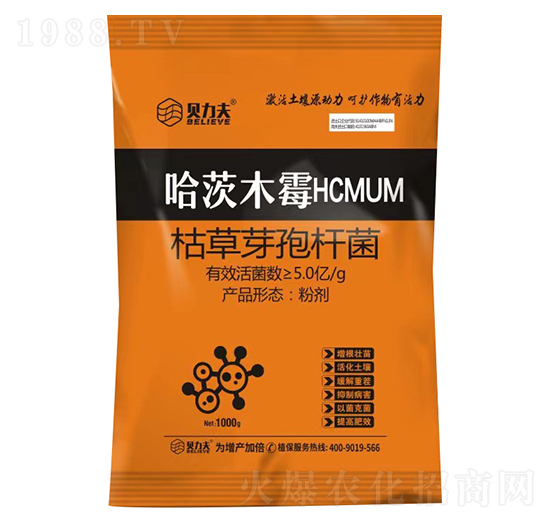 ����ľùHCMUM-ؐ����-� ��S