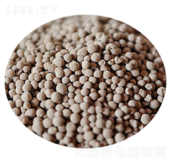 �����V��-�R�񻯹�