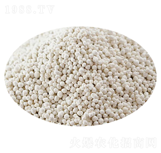 �}�V��-�R�񻯹�