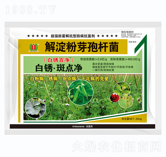 白繡·斑點(diǎn)凈-金田豐