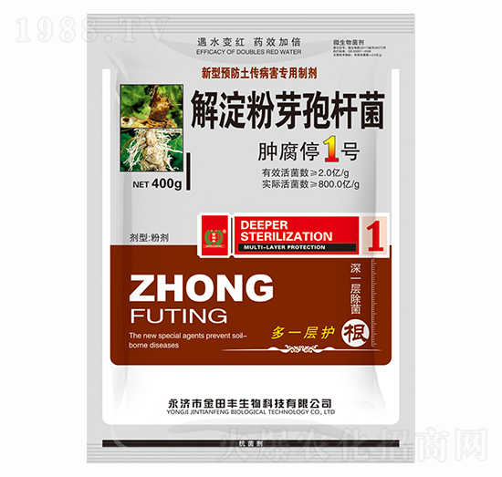 解淀粉芽孢桿菌-腫腐停1號-金田豐